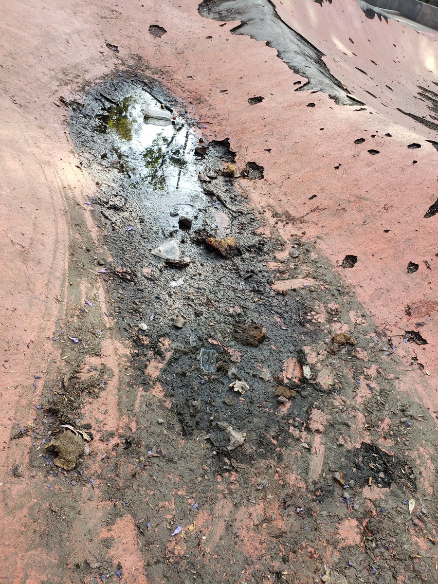 Csarshow's tweet photo. Buen día @AlcCuauhtemocMx, podrían de favor mandar al personal de limpia al parque #jardindelarte en la #ColoniaSanRafael, tenemos un foco de infección de agua estancada. Gracias https://t.co/bhYyTjK3B0