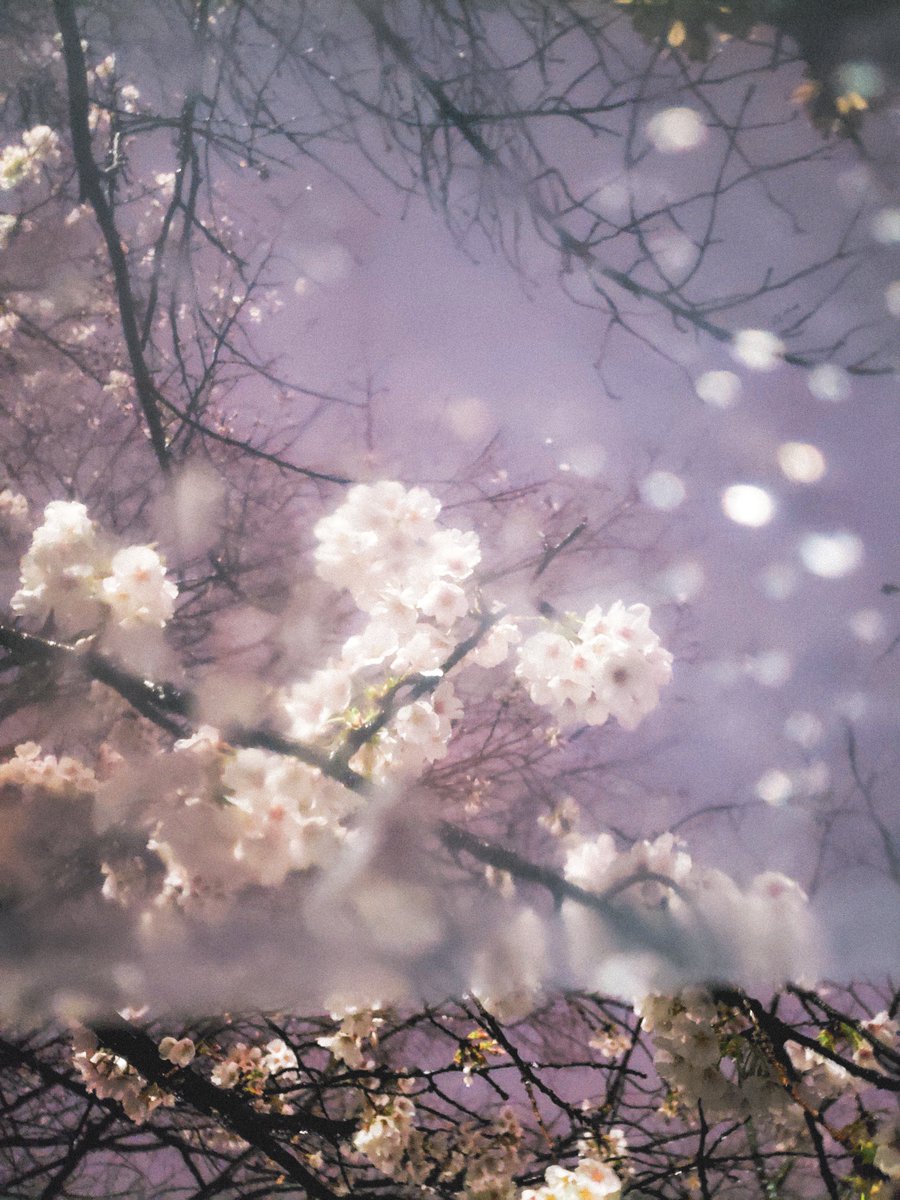 He_ga_data's tweet image. 雨傘のフィルター