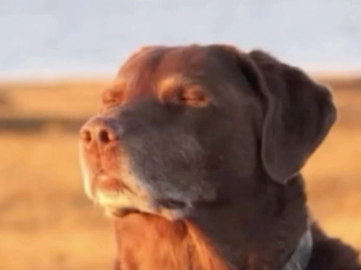 คนไทย… it’s because making the characters lighter than their canon skintone is actually weird