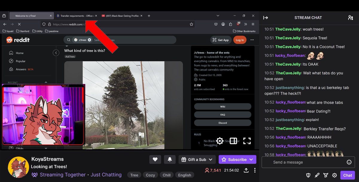 It is with a heavy heart that we announce our beloved fluffy dragon, Koya, will be stepping down as our mascot following recent events. We hope that our community realizes this was a tough decision that was not made lightly. We wish Koya the best in his professional journeys.