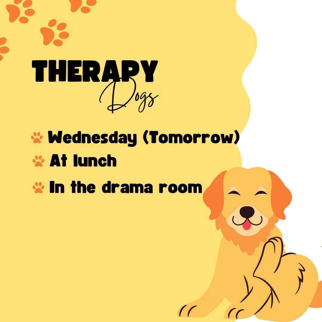 STCSS StudentCouncil (@stcsssc) on Twitter photo 