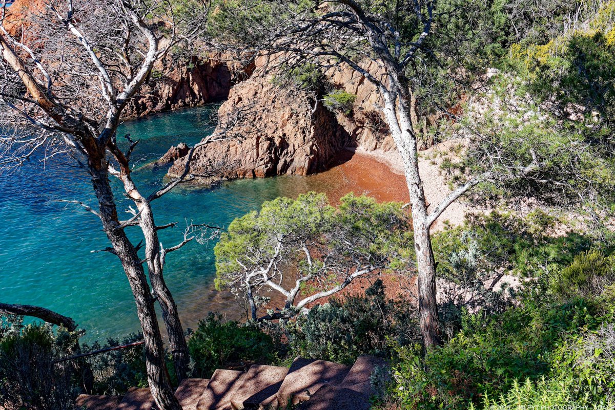 jmlpyt's tweet photo. CALANQUE SAINT-BARTHÉLÉMY, à Saint-Raphael dans dans le Var, réputée pour sa beauté sauvage et son escalier vertigineux.
Leica D-Lux 8
#regionsud #visitvar #esterel #calanque #esterelcotedazur #visitesterel #saintraphael #jmlpyt #photography #gettyimagescontributor #shootuploadrepeat #cotedazurfrance #leica #leicacamerafrance