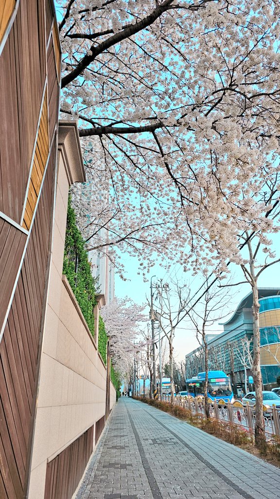 (주)봄날인터내셔널 이미지