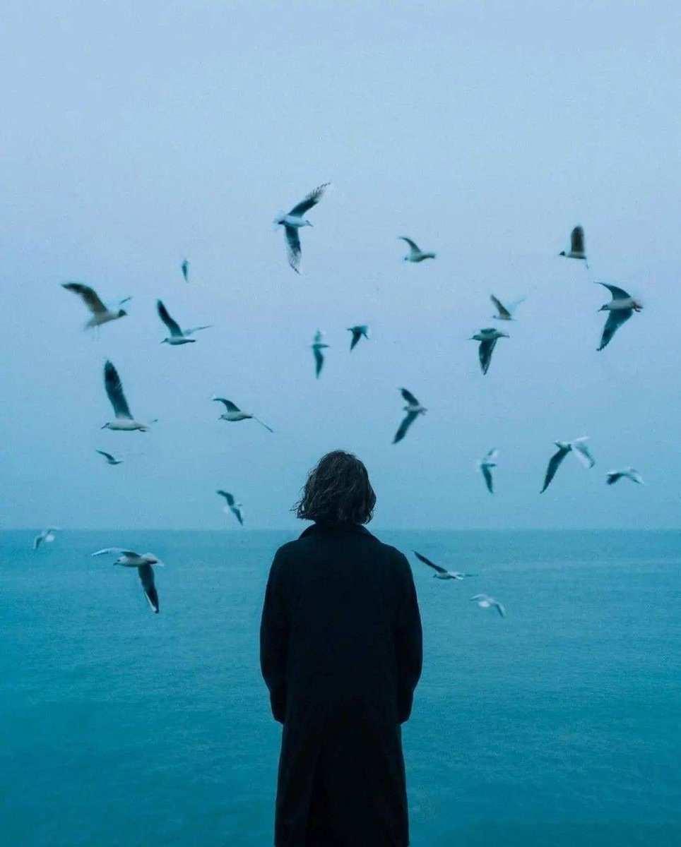 poetical photos. (@poeticalphotos) on Twitter photo 