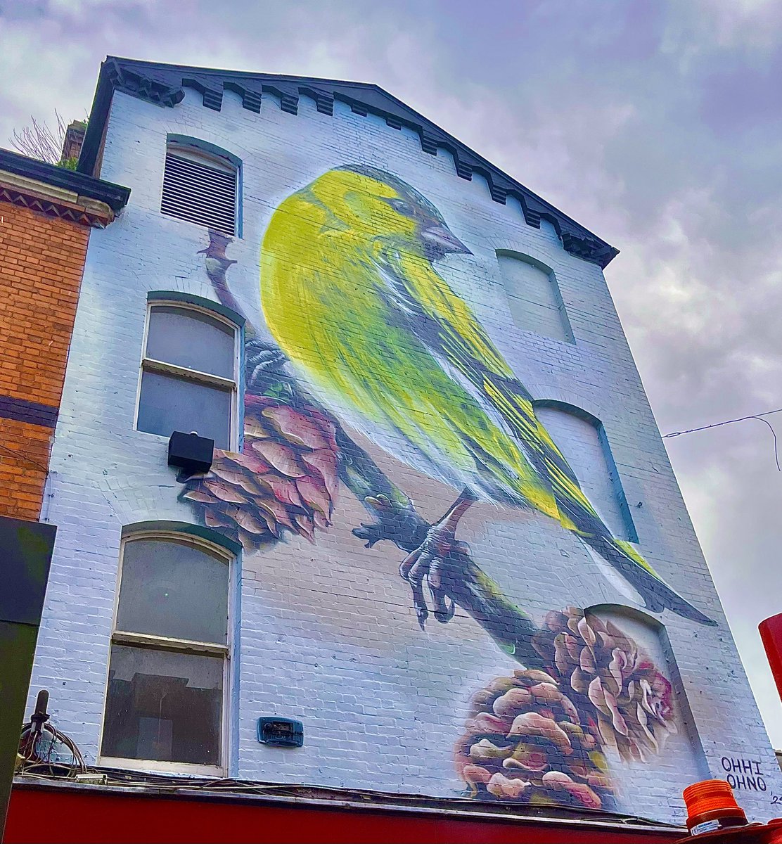 SeanRyanT's tweet photo. #April #100daysofwalking #AprilFoolsDay #Limerick #Murals #Siskin @DrawOut #StreetArt #DodoReddan & #Dogs #Sarsfield #LimerickHistory #StJohnsCathedral
#Music #Heroes @DavidBowieReal https://t.co/iqwaBOhQhU