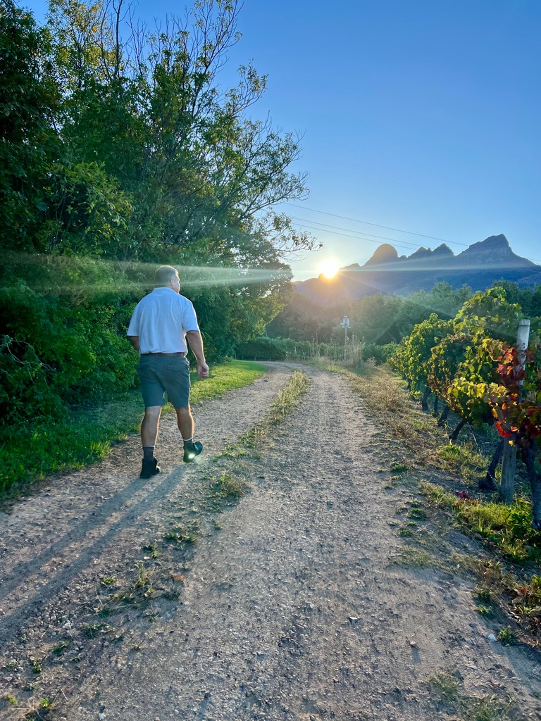 Early mornings in the vineyards, where the magic happens.  

Walking the rows at sunrise, feeling the crisp air, and knowing that 2025 harvest will soon become something truly special. 

Would you trade your morning coffee for a vineyard stroll like this?