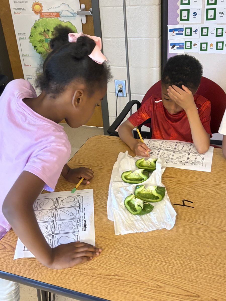 brewaiva's tweet photo. Checking out all the different seeds!! @cobbscience @PickettsMillES https://t.co/5gIifdjiuc