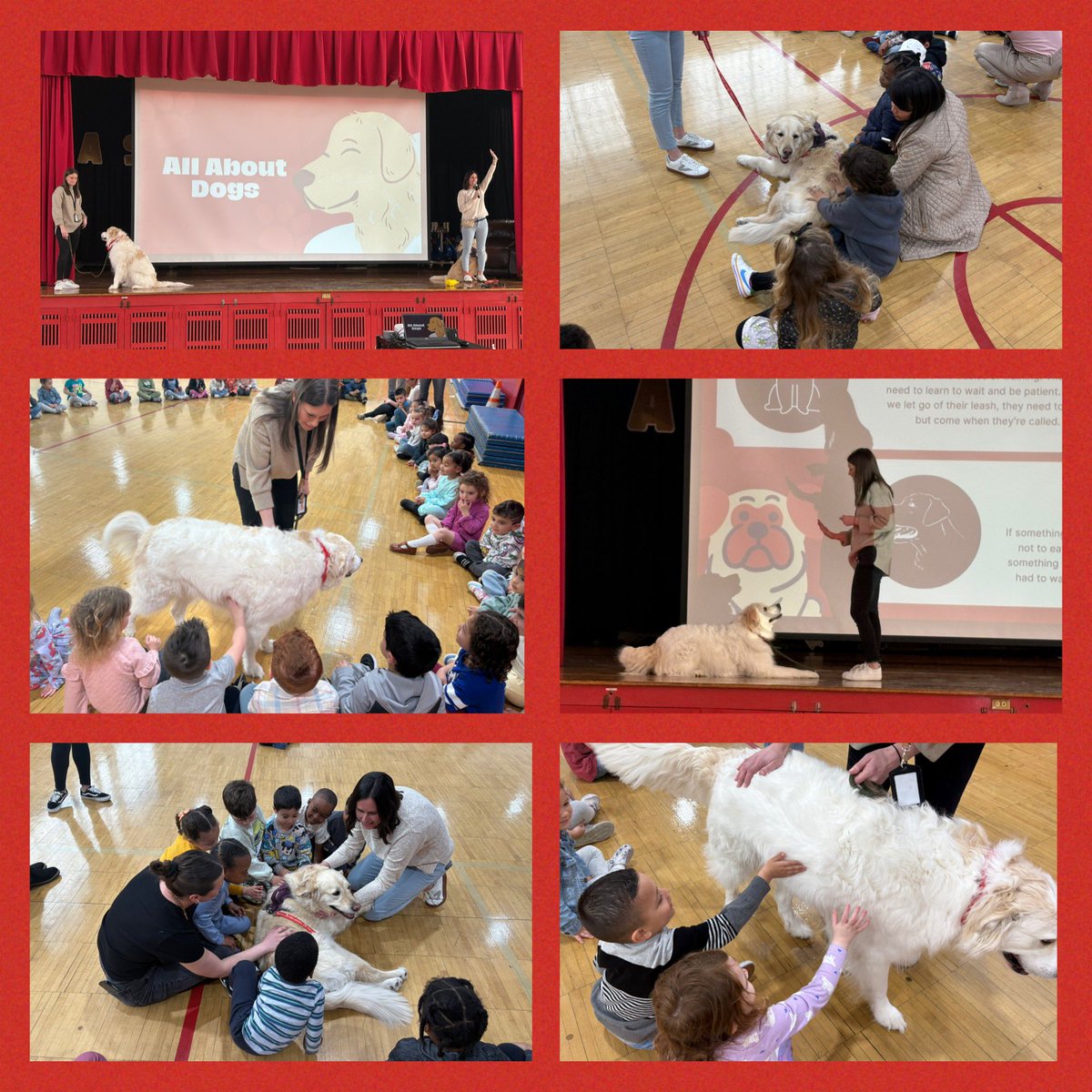 Cathy Longano (@prekteachernj) on Twitter photo Thank you to <a href="/misskateOT/">Kate Compton</a> and Ms. Alli for bringing their therapy dogs to visit our preschool students at OTES for our Pet Study today! The students had a โpawsomeโ experience! ๐พ <a href="/MsKWeldon/">Kelly Weldon</a> <a href="/VonaKristin/">Kristin Vona</a> <a href="/MLopusznick/">Melissa Lopusznick</a> <a href="/tiffanysorto0/">Tiffany Sorto</a> <a href="/JennaBoker/">Jenna Boker</a> #SpartanLegacy Thank you to <a href="/misskateOT/">Kate Compton</a> and Ms. Alli for bringing their therapy dogs to visit our preschool students at OTES for our Pet Study today! The students had a โpawsomeโ experience! ๐พ <a href="/MsKWeldon/">Kelly Weldon</a> <a href="/VonaKristin/">Kristin Vona</a> <a href="/MLopusznick/">Melissa Lopusznick</a> <a href="/tiffanysorto0/">Tiffany Sorto</a> <a href="/JennaBoker/">Jenna Boker</a> #SpartanLegacy