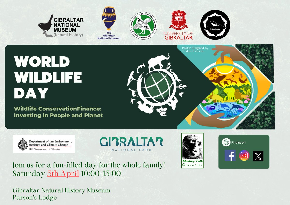 The Gibraltar National Museum tweet media