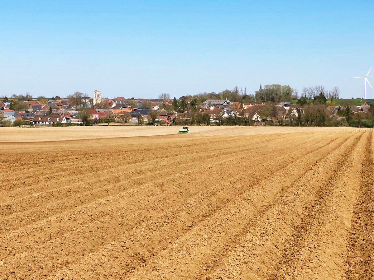 ATerlynck's tweet image. 🥔🥔 Plantation 2025 🥔🥔
Des conditions optimales pour produire les meilleures frites made in 🇨🇵! Et en plus le nouveau contrôleur qualité a un flair imparable pour dénicher les plants dissidents 😂

#hautsdefrance