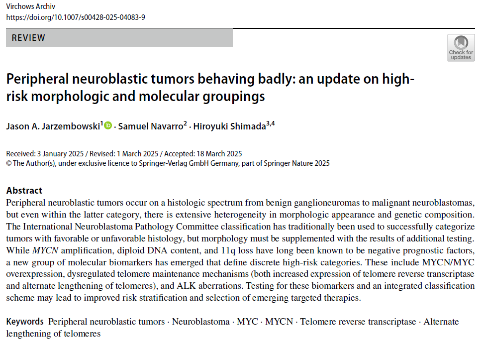 Important paper on peripheral neuroblastic tumors #Neuroblastoma, frequently seen in #PediPath Thanks to our colleagues, Jason Jarzembowski <a href="/smallbluecells/">Jason Jarzembowski</a>, Samuel Navarro and Hiroyuki Shimada.  I'm sure you'll find it helpful!  link.springer.com/article/10.100…