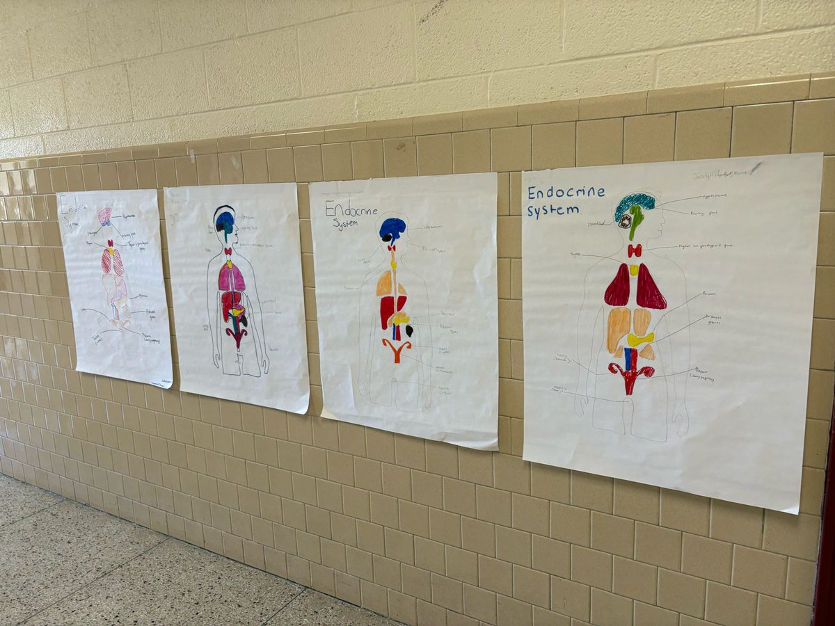 NNPSHPE's tweet photo. Students in Health I at @WarwickRaiders learn about the #endocrinesystem and complete diagrams of the various organs.

#highschoolhealth #HPE #healtheducation #bodysystems https://t.co/lJSwmZlRPV