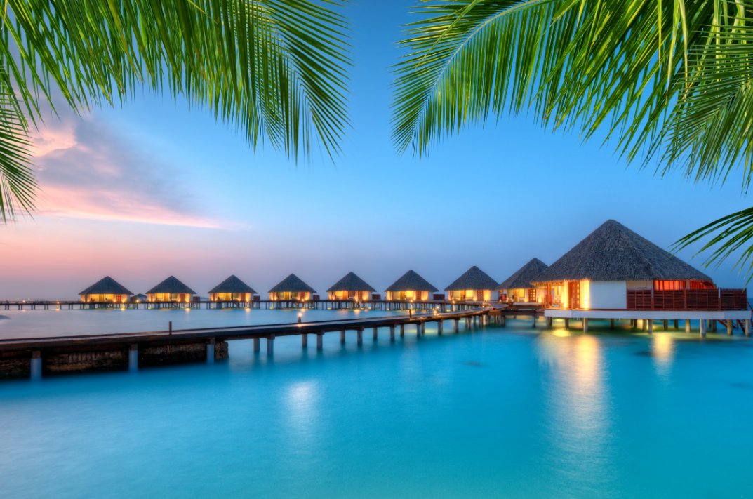 WorldPass Travel tweet media