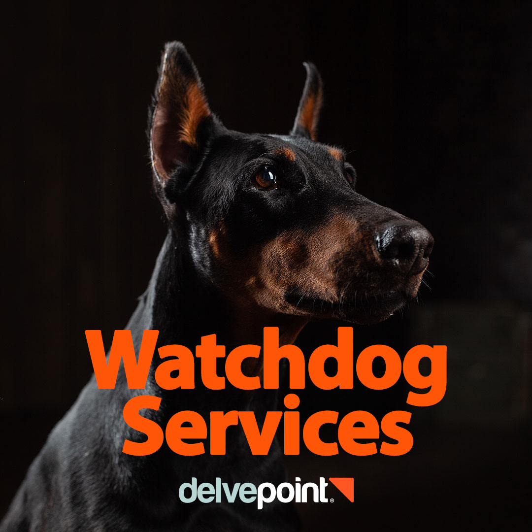 Stay ahead of the game with Watchdog — your automated alert system for real-time updates on subjects of interest. 
Set it, forget it, stay informed: lnkd.in/exV-_fuB