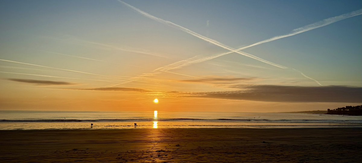 WindyWilson88's tweet photo. *Tuesday April 1st 15:47

Windy says glorious morning on the #westsands #standrews catching the #sunrise wae the dogs 

#dookbeachcafe #wildscottishsauna #cockapoos #cockapoosoftwitter #scotland #windywilson https://t.co/YfUW2WfYpB