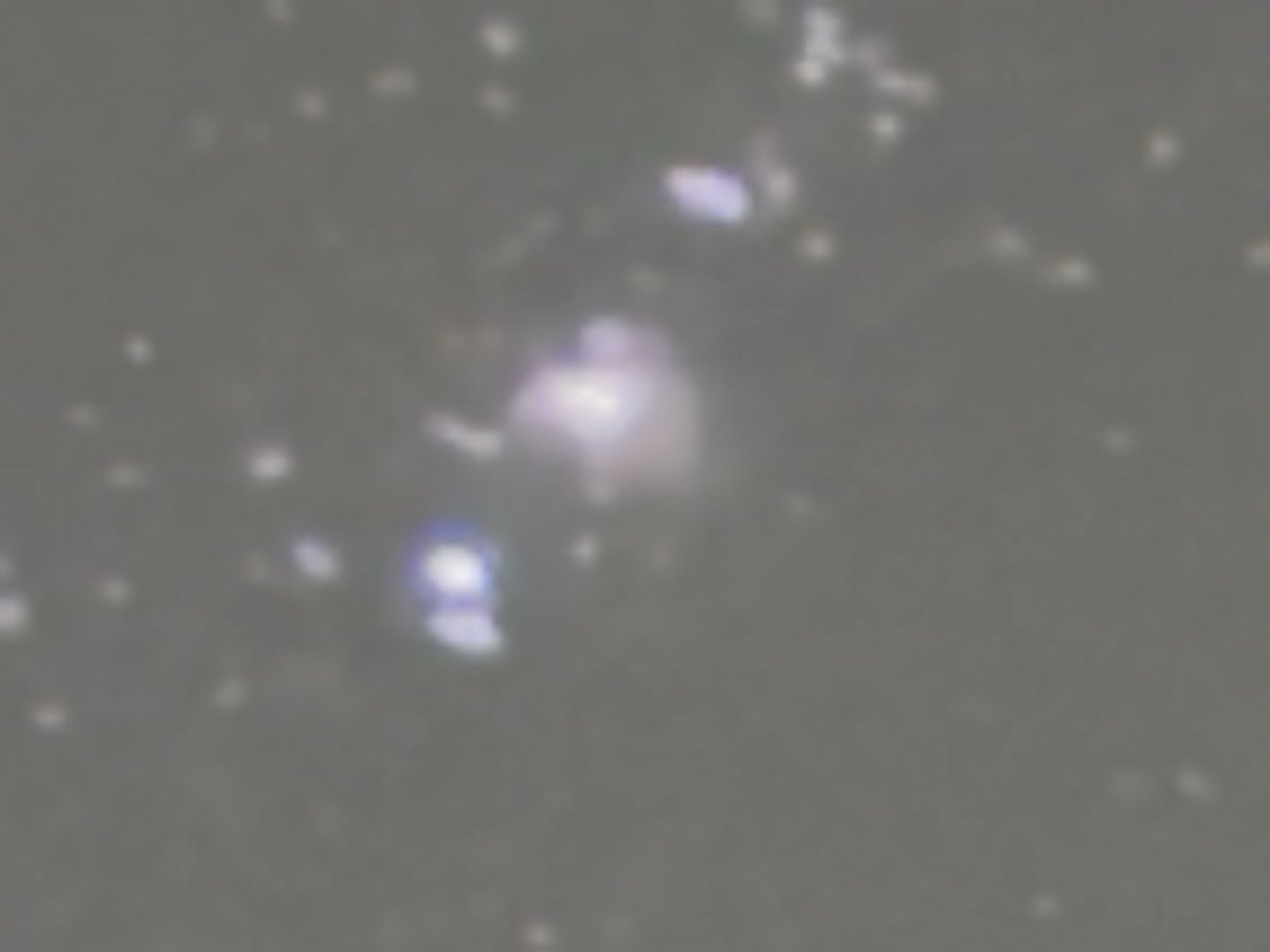 take_314's tweet photo. ギリギリ判別不能そうなオリオン大星雲 https://t.co/wE3ca10kRW