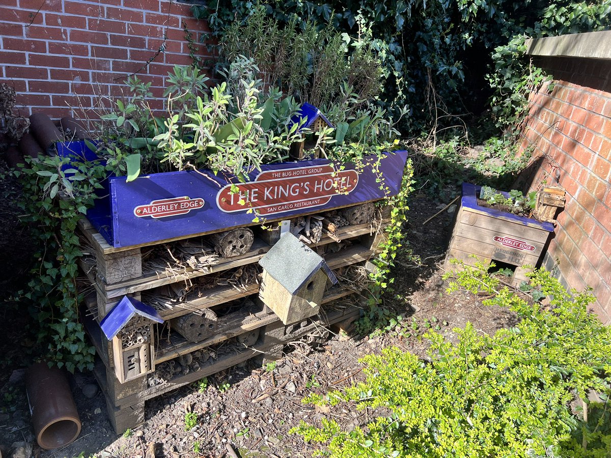 Handforthrail's tweet image. Popped over to see our friends @alderleyedgecom today , beautiful artwork and community 
@CommunityRail @northernassist