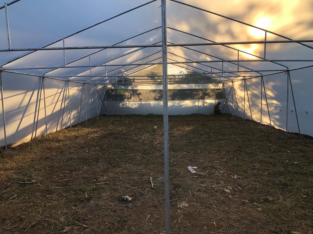 We're thrilled to showcase our recently completed #200sqm #Metal greenhouse in Belvedere!

This state-of-the-art structure ensures year-round cropping, increasing yields and revolutionizing farming practices!

Invest in a metal greenhouse and enjoy 20-year lifespan