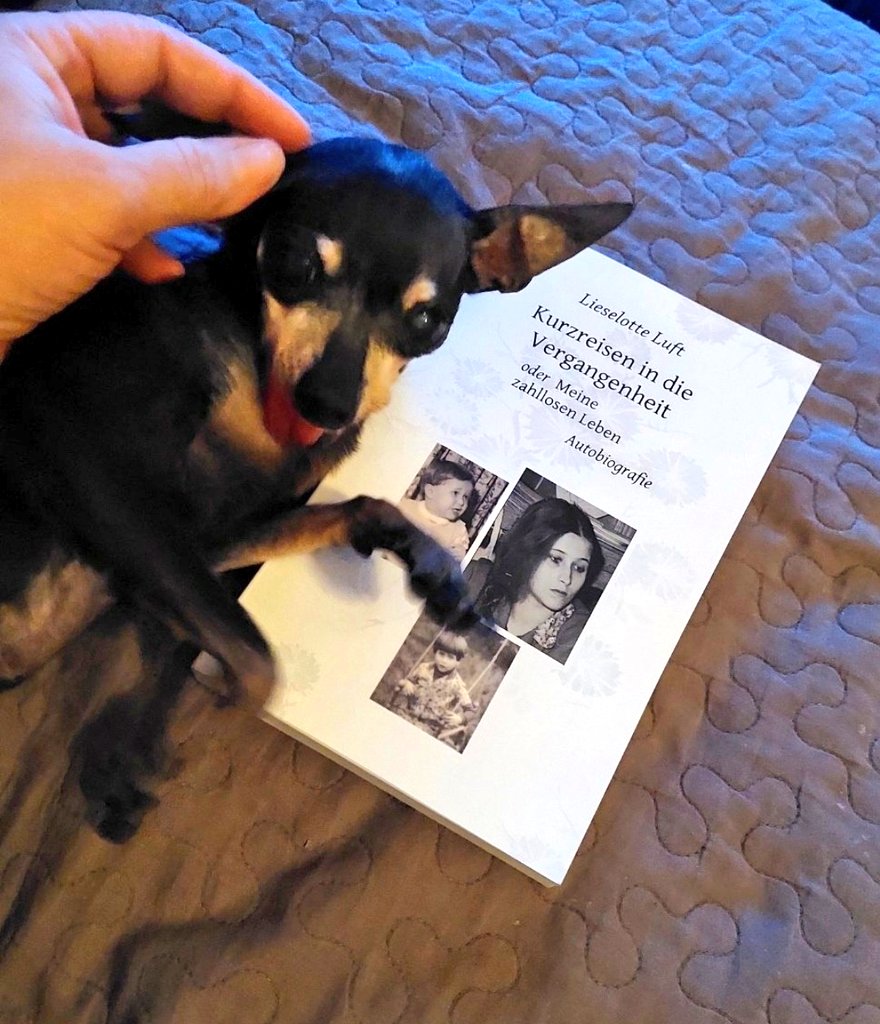 Klabauterfrau vong *über Brücke geh* her tweet media