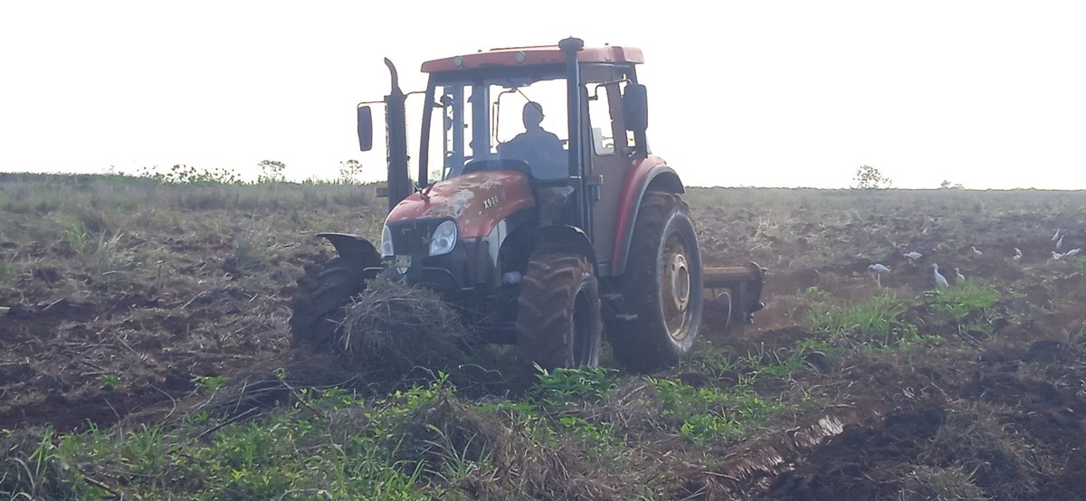 AdrianR69849671's tweet photo. Continuamos con la preparación de tierra en el área de la finca de alimento de la EAA Ecuador para la siembra de plátano en esta campaña.#Baraguenses en la trinchera.@Azucareros1522 @MatosNeudel @Raydel76994353 https://t.co/yaYS6i0LtD