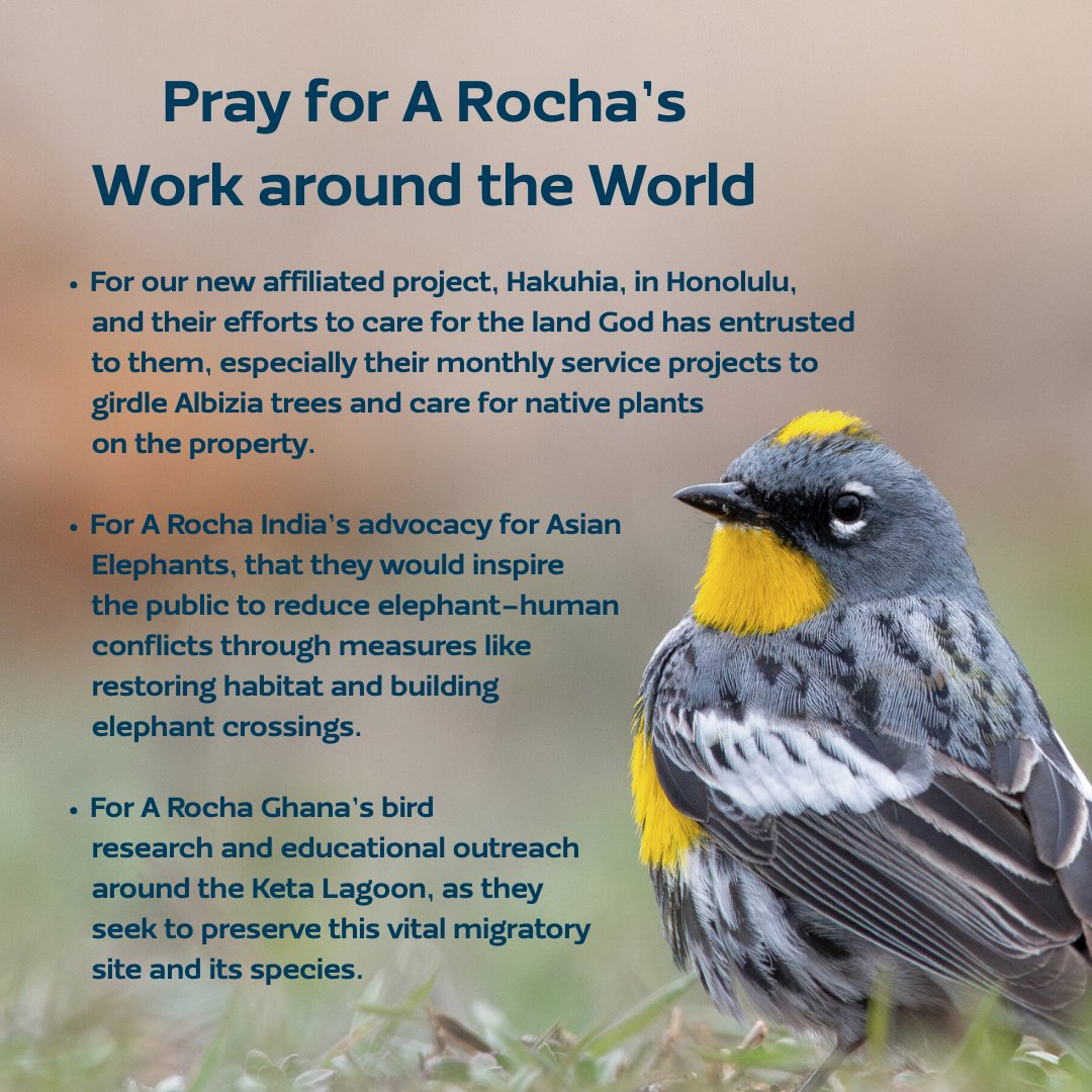 ARochaUSA's tweet photo. As we enter into April, we invite you to join us in lifting up the work of A Rocha USA and the global A Rocha family in prayer. Swipe to see the specific prayer needs for April, and thank you for praying alongside us!

📸1: Peter Harris⁠
📸3: Hannah Mae Henry
📸4: James Alton⁠ https://t.co/oRnAHqn4G9