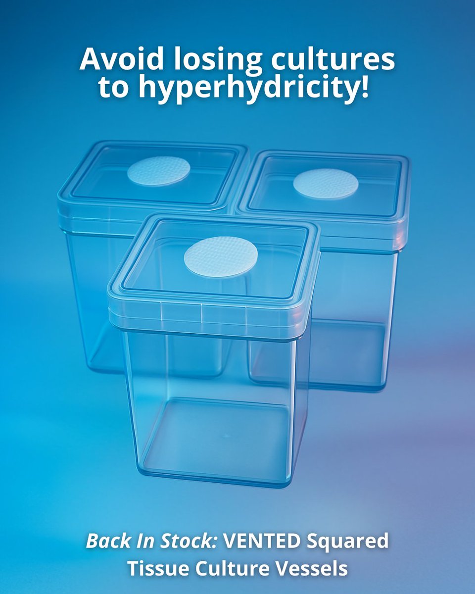 Our VENTED Squared Tissue Culture Vessels are officially BACK IN STOCK! 🧫💨

These game-changing vessels are designed to give your plantlets the airflow they need to thrive, not drown.

📦 Don’t wait—these sell out fast.

#hyperhydricity