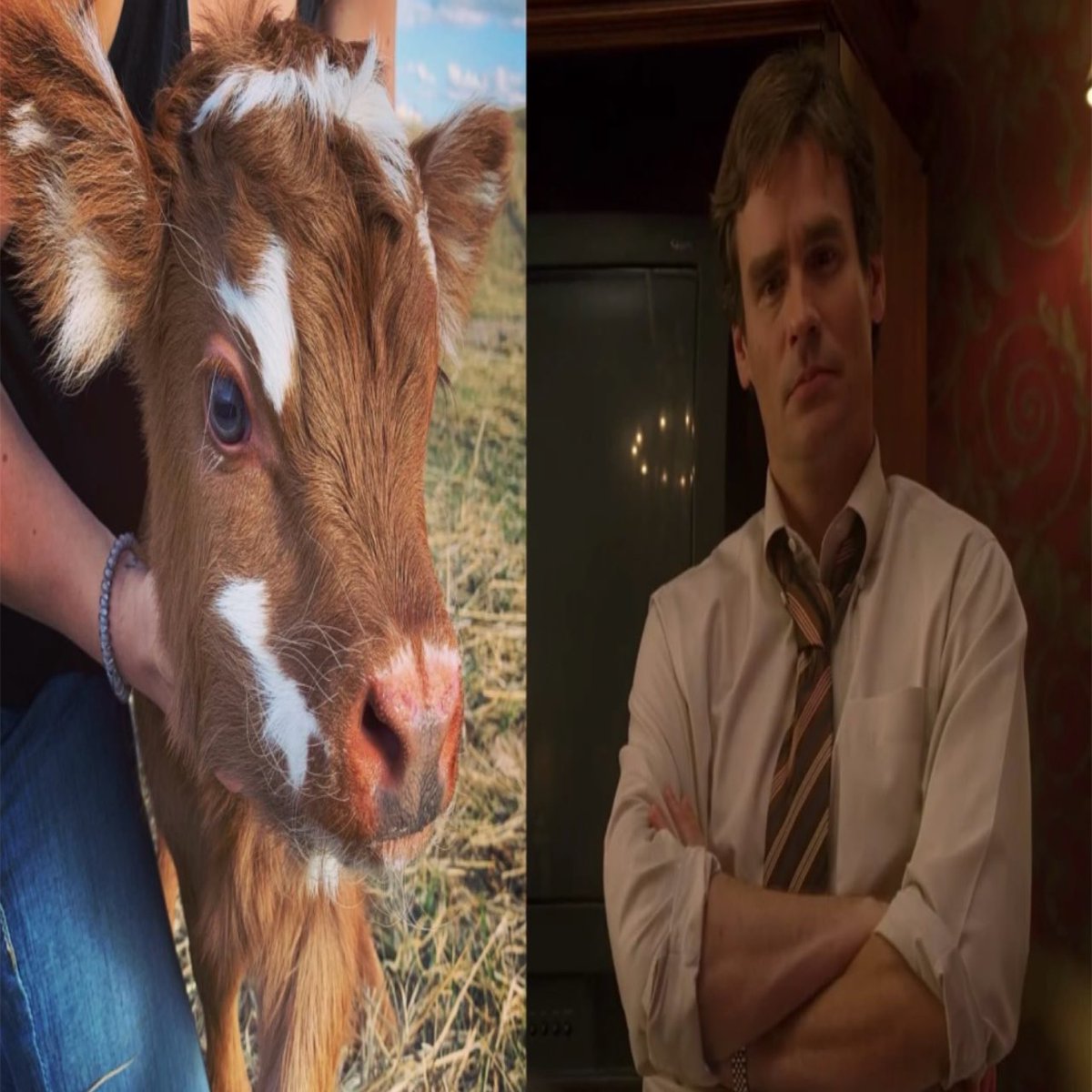 calfhaven's tweet photo. ，　　#promotwt  &amp;&amp;. #moothunt
ㅤ
            Yssac  ✦  he/him . basic dni  
                 multifandom  —  16 .ᐟ
             ♡ / ↻ 2 be moots (^o^) !!!
         
          #housemdtwt #hptwt #gotgtwt https://t.co/QRNKpFv8bN