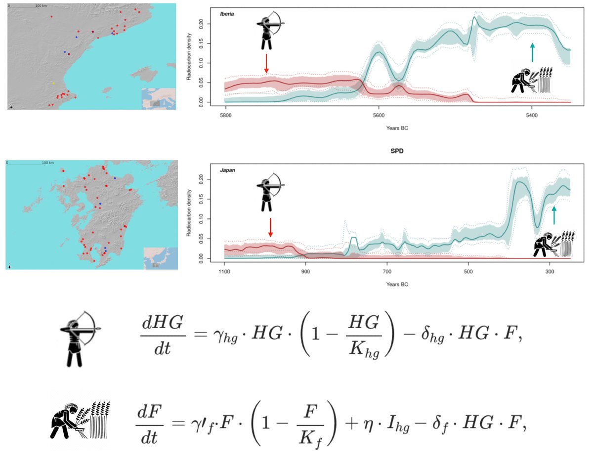 Sergi Valverde🌍(under a blue sky) (@svalver) on Twitter photo New study highlights the active role of humans in the hunter-farming transition. Varying population growth and mortality rates, driven by competition between hunter-gatherers and farmers, shaped agricultural development in these regions. <a href="/AndrejSpiridon4/">Andrej Spiridonov</a> pnas.org/doi/10.1073/pn… New study highlights the active role of humans in the hunter-farming transition. Varying population growth and mortality rates, driven by competition between hunter-gatherers and farmers, shaped agricultural development in these regions. <a href="/AndrejSpiridon4/">Andrej Spiridonov</a> pnas.org/doi/10.1073/pn…