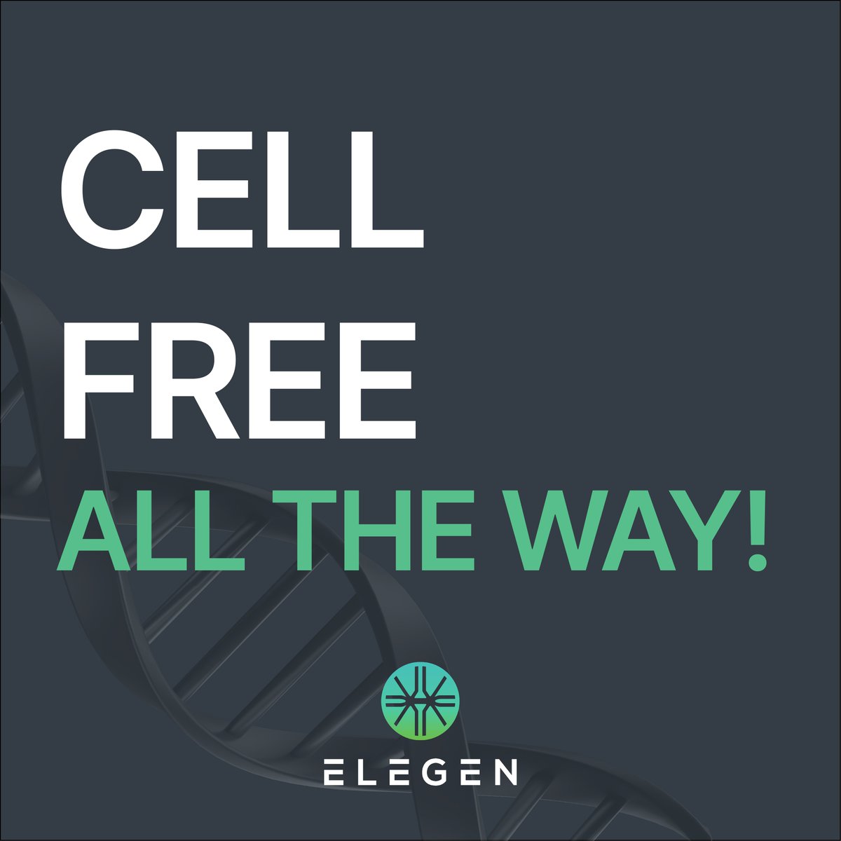 ElegenBio's tweet photo. It’s cell-free all the way!😎 @ElegenBio's long, high-quality #EnfiniaDNA enables fast, efficient in vitro workflows—driving gene expression on par w #plasmidDNA in @ArborBio’s myTXTL Pro. Fast, easy &amp; powerful! 🧬 

https://t.co/AYU6D7vM4T

#genesynthesis #TXTL #cellfreecloning https://t.co/pmqCyRR8BM
