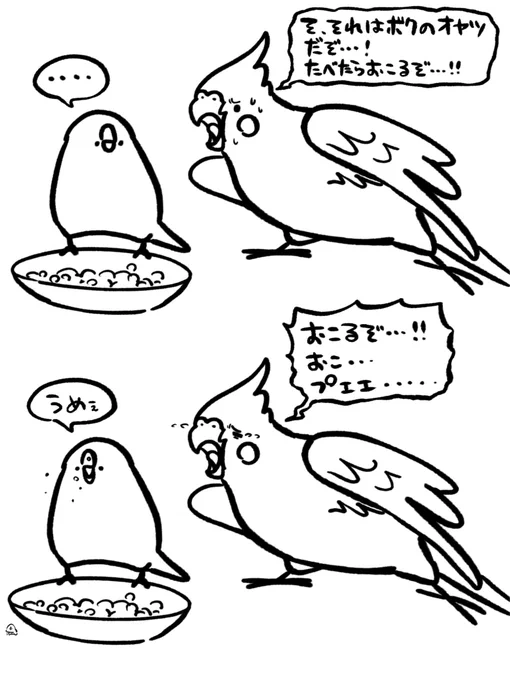 オカメ×文鳥、これな 