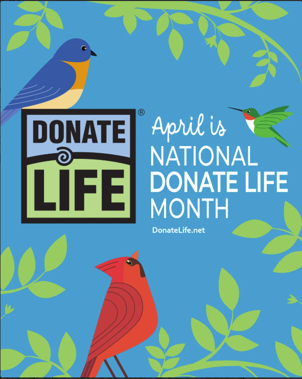 April is National Donate Life Month which helps raise awareness about donation and encourage Americans to register as organ, eye, and tissue donors. We'll be sharing Donate Life's message all month long so be sure to follow along! #DonateLifeMonth #DonateLife #NDRI