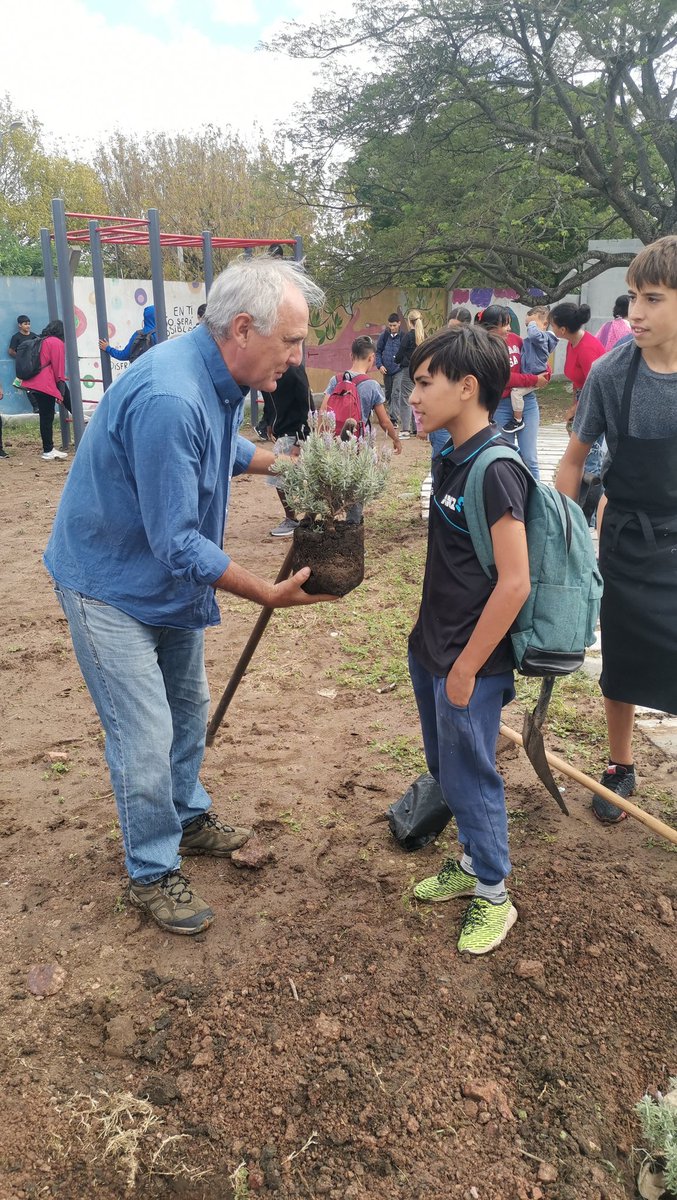 Movimiento Tacurú tweet media