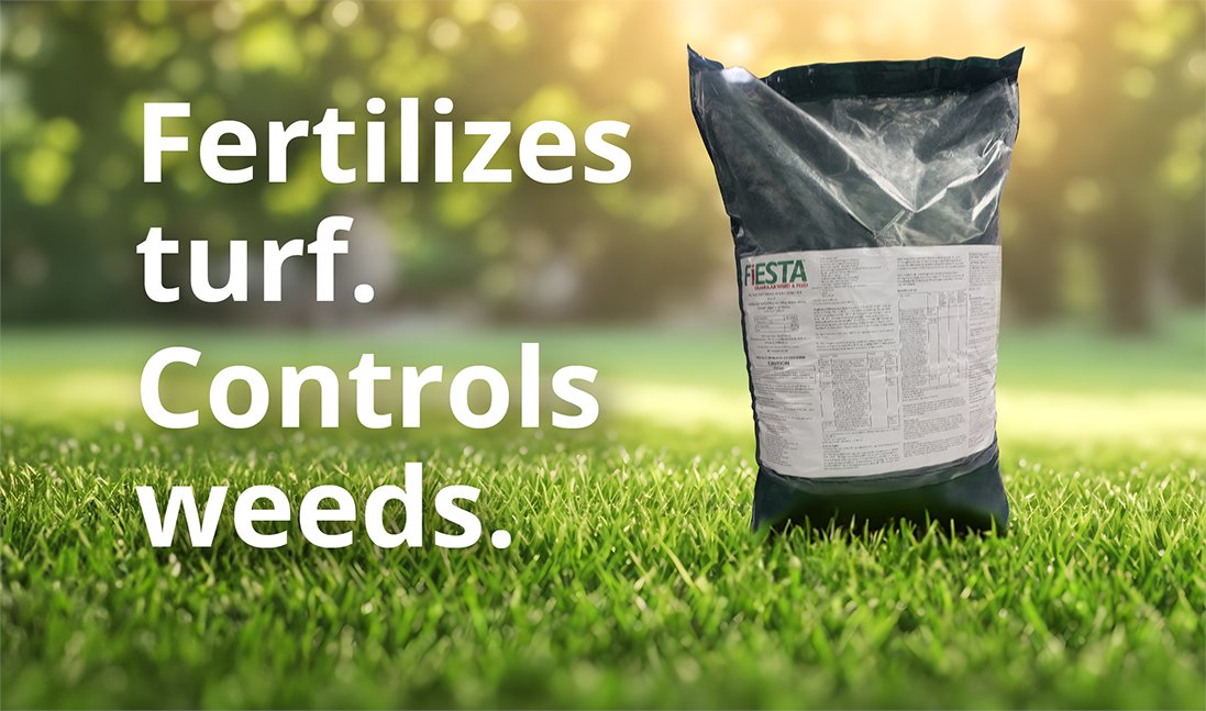 Fertilize turf while controlling weeds with FIESTA Granular Weed &amp; Feed. Check it out.  mailchi.mp/neudorff/ferti…