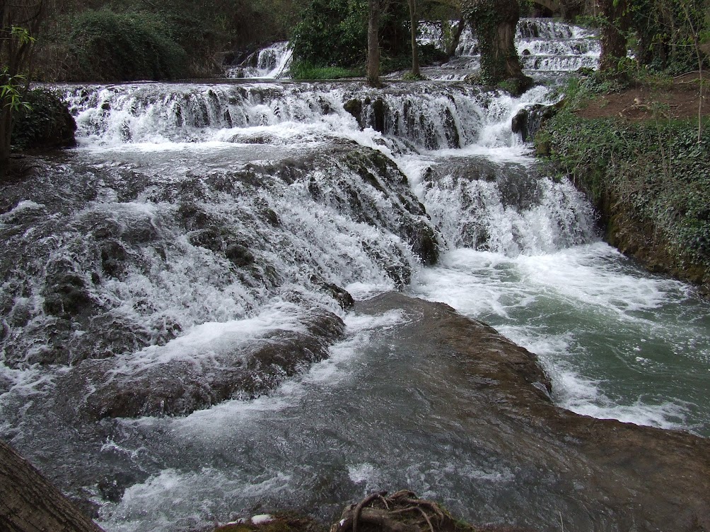 PlaEspecial Urbanístic Autònom de la ViaVerda del Fluvià entre SantFerriol i laValldeBianya
ssl4.ddgi.cat/bopV1/pdf/2025…
#Garrotxa Garrotxa #laGarrotxa laGarrotxa #Llierca #AltaGarrotxa AltaGarrotxa #Argelaguer Argelaguer #Olot Olot #Besalu #ViaVerda #SantFerriol #laValldeBianya