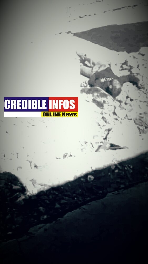 CredibleINFOS's tweet photo. Ti mafya viv ansanm tonbe nan lakou mibalè.. https://t.co/EJ2mnIdtmA