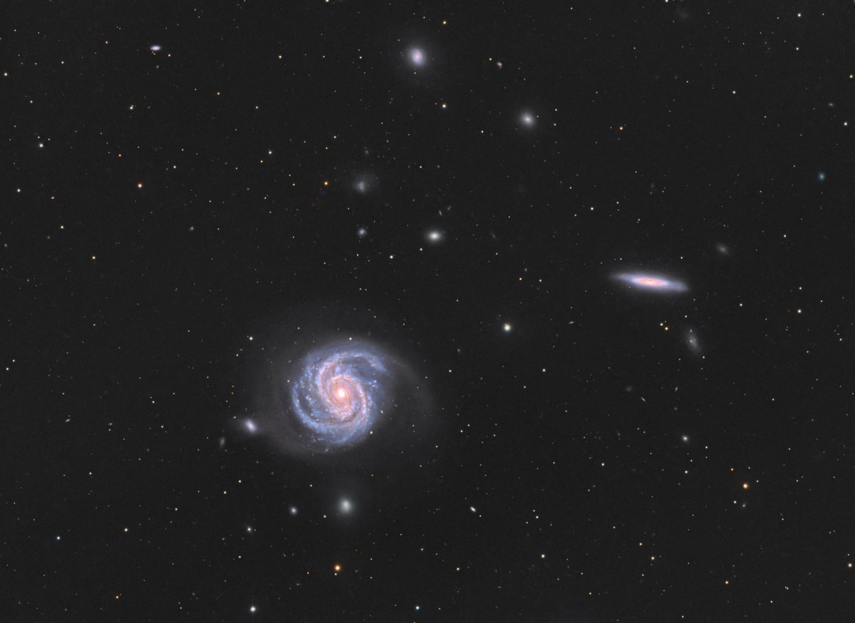 Tom Bock tweet media