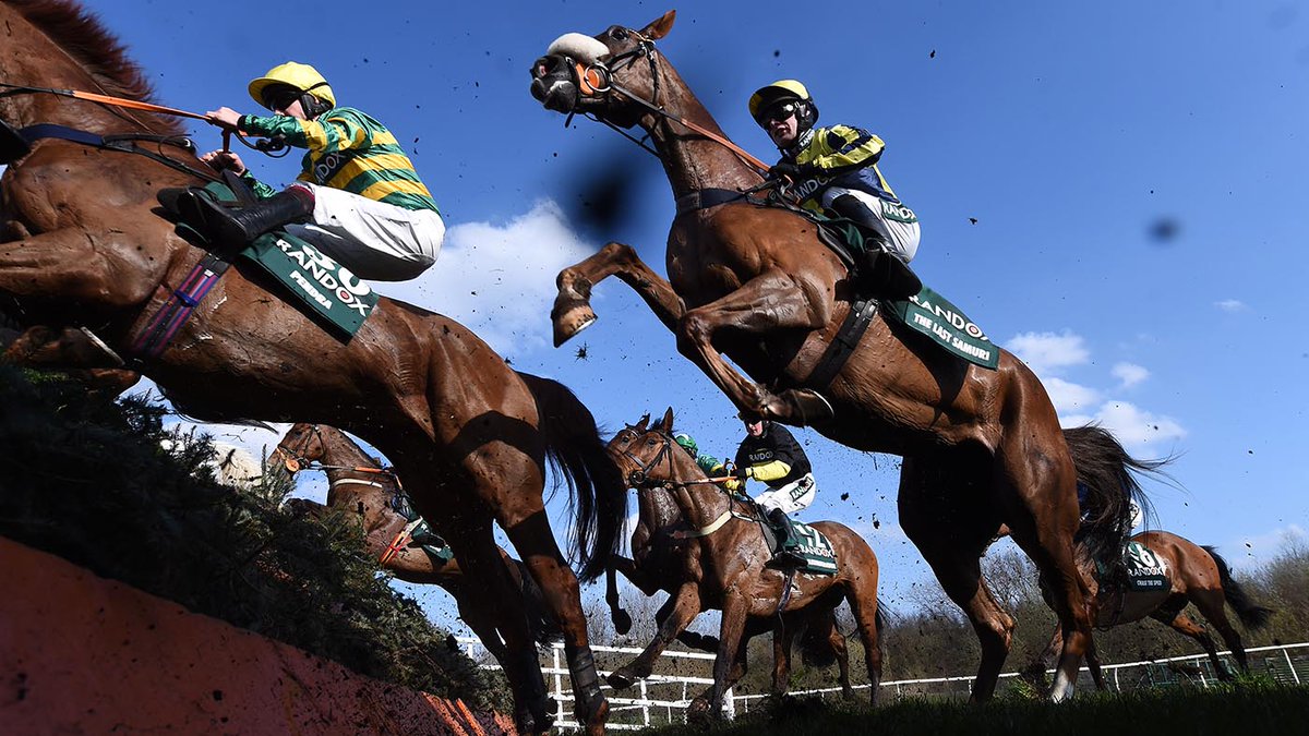 🐦Pigeon🐎Island🐦 tweet media