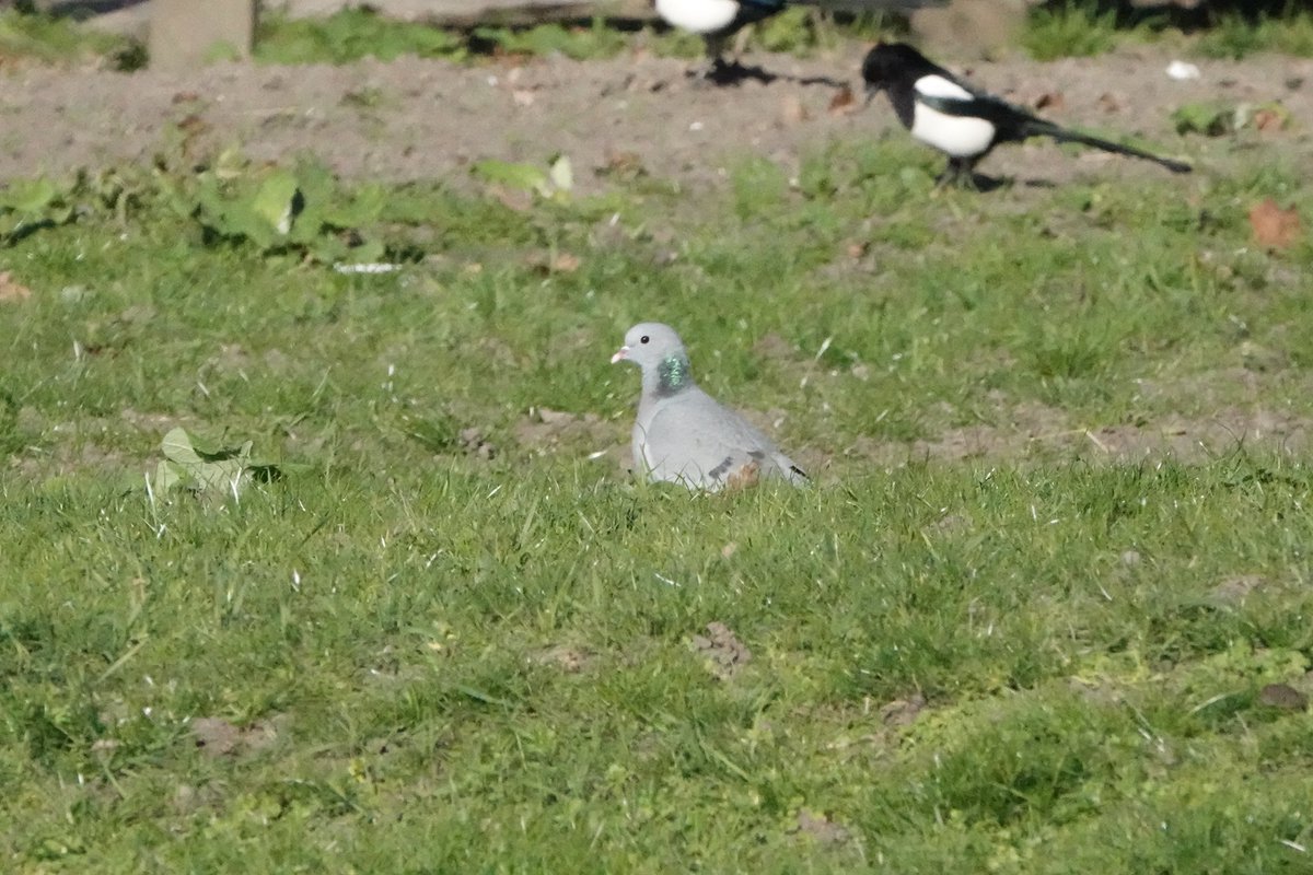 John Booth tweet media