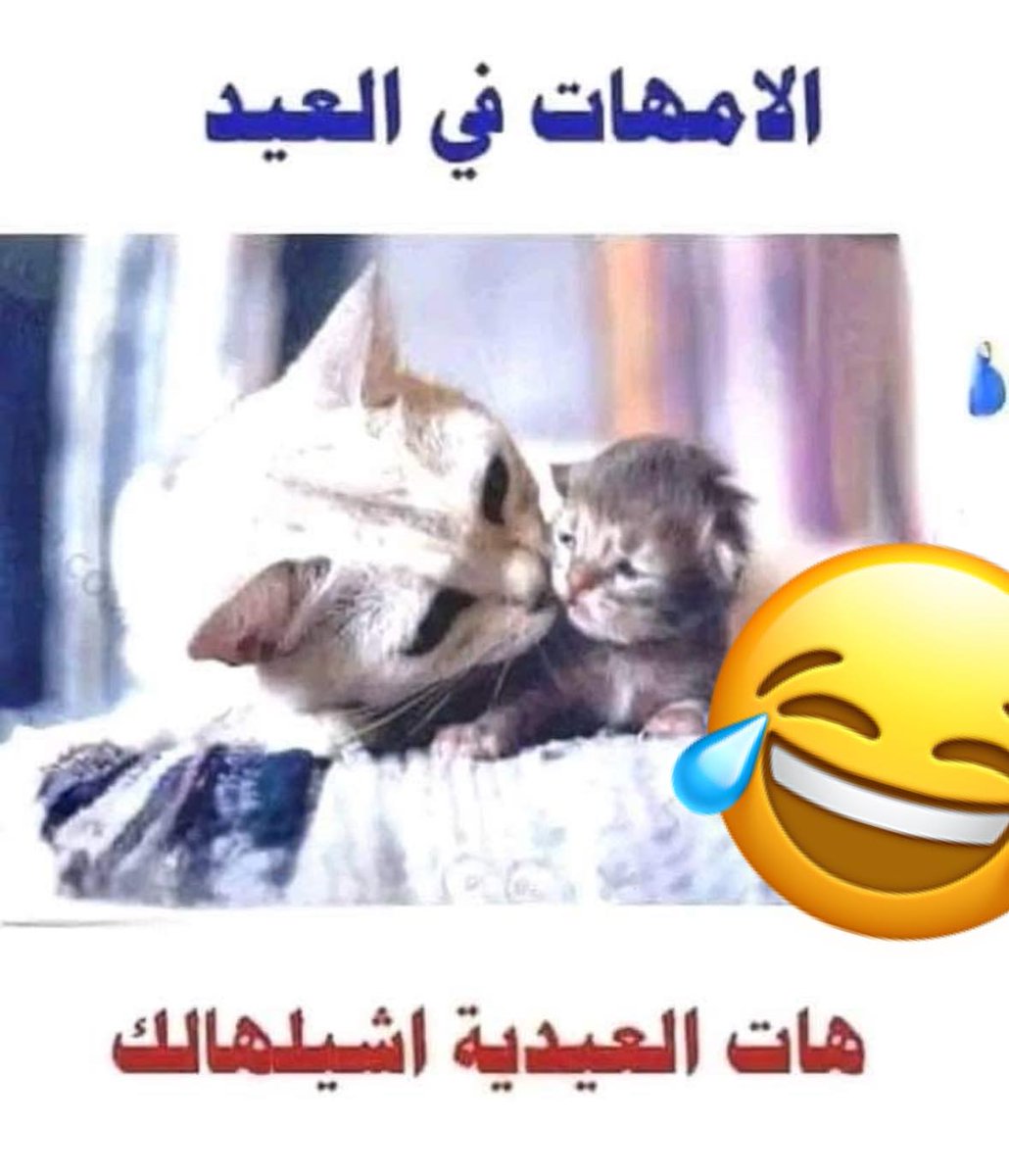 ام نسمه (@k6vjvnx3hhvidhi) on Twitter photo 