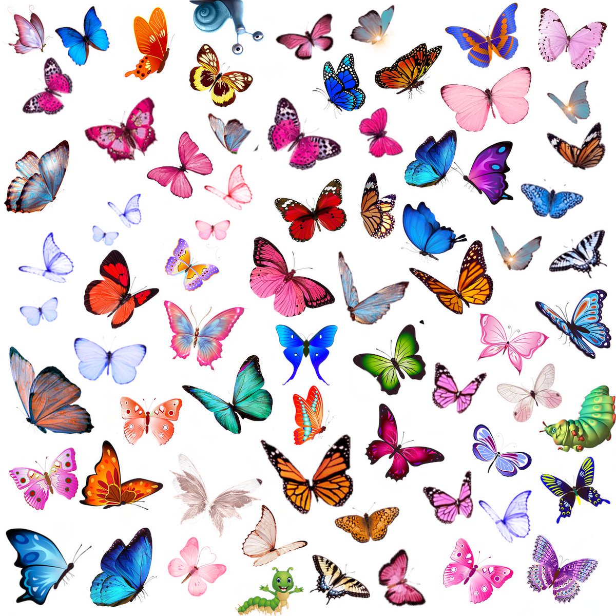 Join us for #MuseumMinis this Friday (4 April) where we will be enjoying some fun songs and activities all about Butterflies and Moths, inspired by #InvMAG's Community Gallery exhibition 'Species on the Edge'.
Click here to book: tinyurl.com/y2n4mcxc
@hlhsocial 
Image: Pixabay