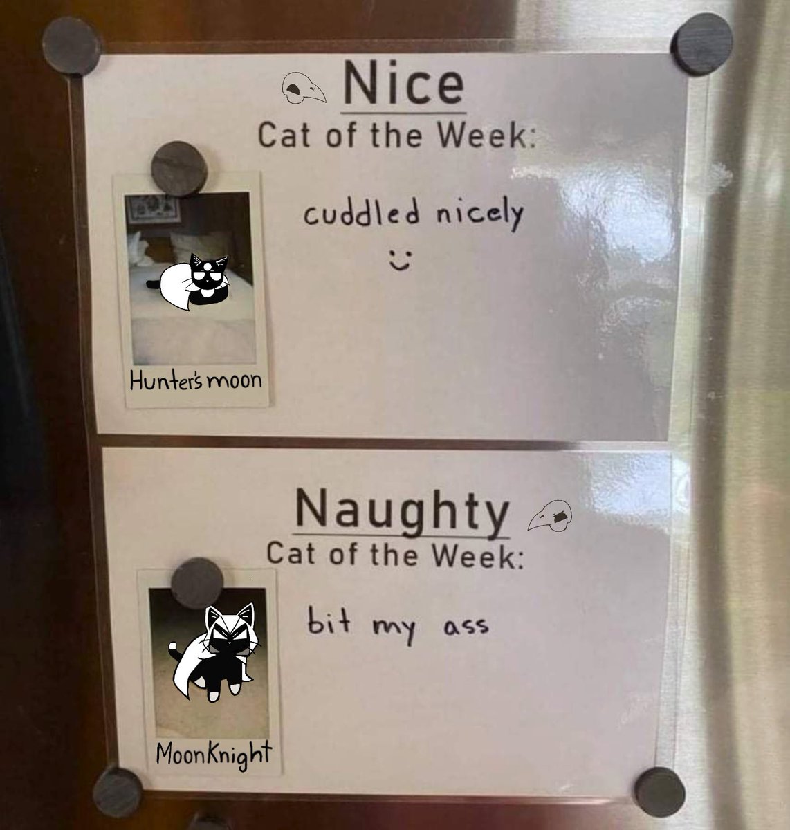 Commonalt's tweet image. Moon knight issue #7 comes out tomorrow so I turned Moon knight and Hunter’s moon into cats