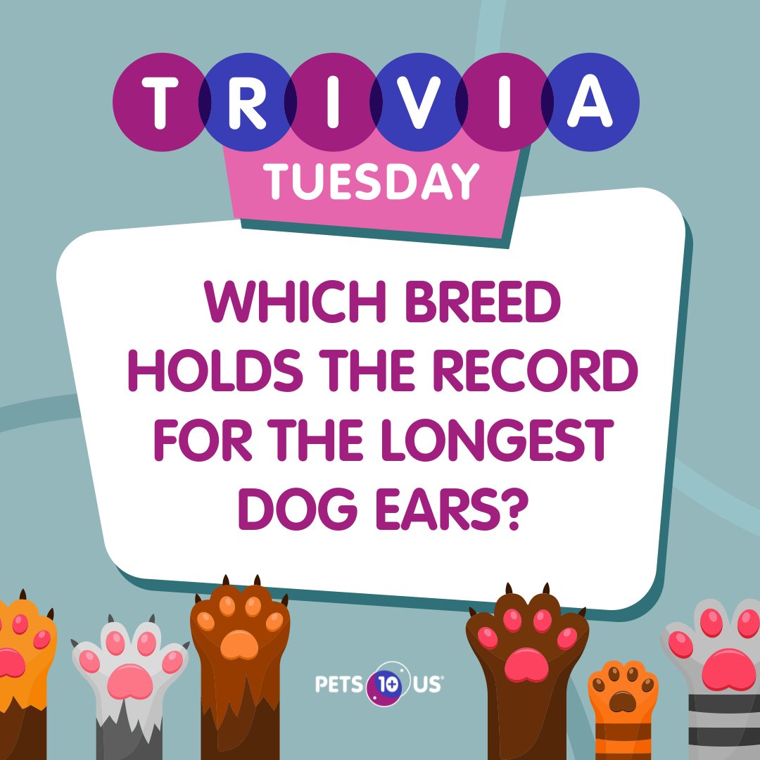 Pets Plus Us (@petsplususins) on Twitter photo #Win a $25 PetSmart gift card! To enter, answer the question, retweet this post and follow <a href="/PetsPlusUsIns/">Pets Plus Us</a> by 11:59PM EST. Open to Canadian & US residents (excluding QC). Ways to enter: bit.ly/3wBFKxO #Win a $25 PetSmart gift card! To enter, answer the question, retweet this post and follow <a href="/PetsPlusUsIns/">Pets Plus Us</a> by 11:59PM EST. Open to Canadian & US residents (excluding QC). Ways to enter: bit.ly/3wBFKxO
