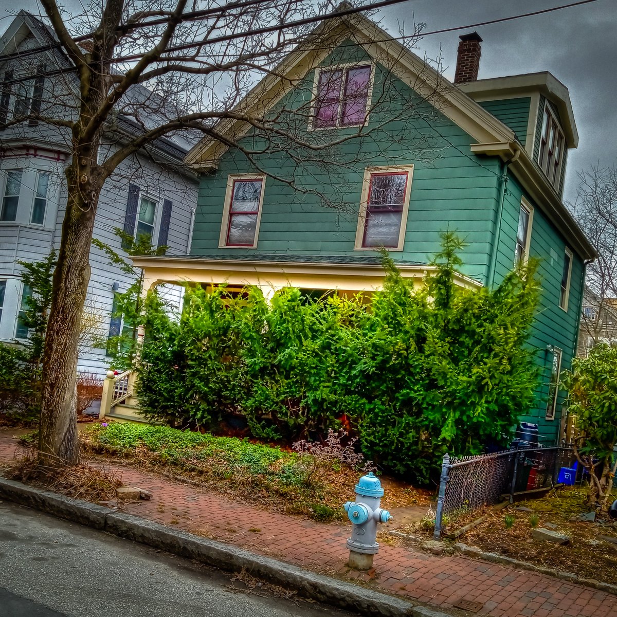 paulsportrait's tweet photo. We all need some privacy. House near #InmanSquare #CambMA https://t.co/ip3sFQMxPO