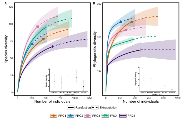 Dylan Craven (@dylanjcraven) on Twitter photo Wonderful collaboration with some interesting results led by #LauraPerez with <a href="/Javier_Lopatin/">Javier Lopatin</a> on multi-faceted diversity-stability relationships in mountaint ecosystems <a href="/GEMA_UMayor/">GEMA UMayor</a> <a href="/Uai_EarthObs/">UAI Earth Observation</a> <a href="/DataObsCL/">Data Observatory</a>
ecoevorxiv.org/repository/vie… Wonderful collaboration with some interesting results led by #LauraPerez with <a href="/Javier_Lopatin/">Javier Lopatin</a> on multi-faceted diversity-stability relationships in mountaint ecosystems <a href="/GEMA_UMayor/">GEMA UMayor</a> <a href="/Uai_EarthObs/">UAI Earth Observation</a> <a href="/DataObsCL/">Data Observatory</a>
ecoevorxiv.org/repository/vie…
