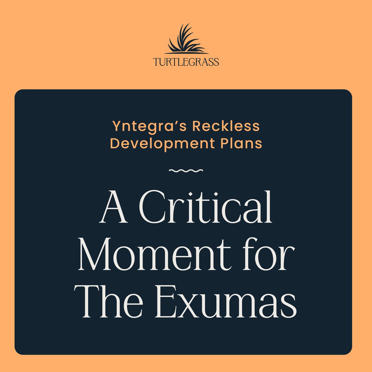 TurtlegrassResort tweet media