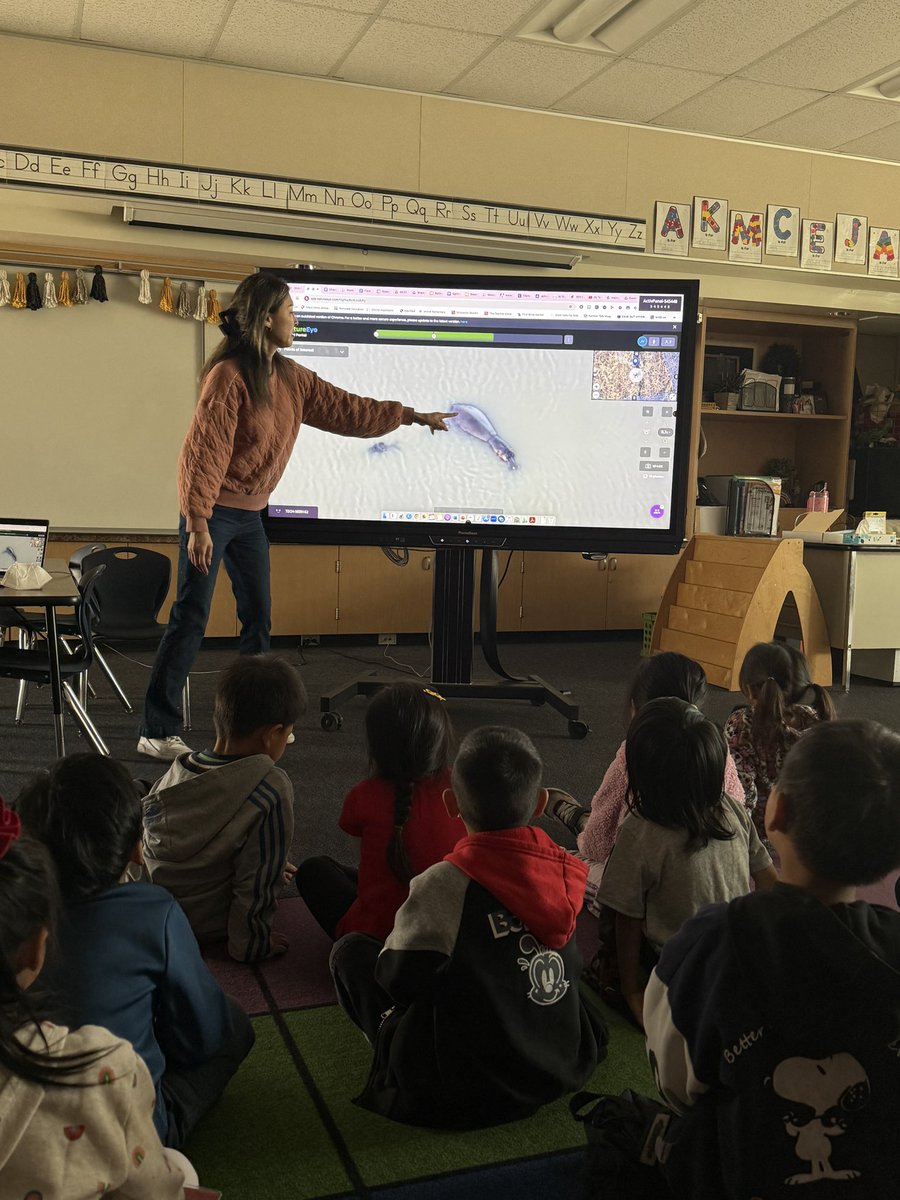 tatisilva1007's tweet image. Another Natures Eye field trip in TK! These kiddos got to see a family of hippos in the watering hole! #SpringLearning