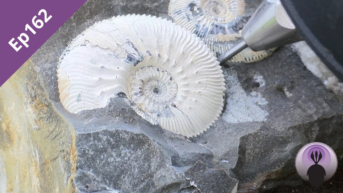 Ep162: Cerney Wick (UPDATED)
palaeocast.com/cerney-wick/

Following our introductory podcast to Cerney Wick, we were granted special access to record the excavations during the 2024 field season.

#paleontology #paleo #fossils #mammoth #ammonite #fieldwork #evolution #multimedia