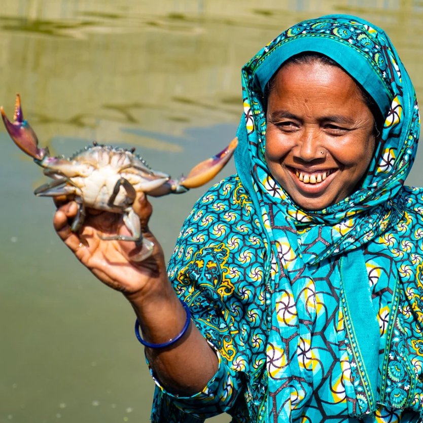 UNDP's tweet photo. Coastal districts in Bangladesh are highly vulnerable to rising sea levels, frequent cyclones, &amp; increased salinity in water &amp; soil.

Despite the challenges, women have shown remarkable adaptability &amp; are driving resilience in the face of climate change. https://t.co/R7PdCyiTON https://t.co/3kbWdlLCVf
