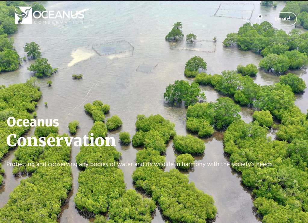 Octant.eth (@octantapp) on Twitter photo 🌱 <a href="/OceanusPH/">Oceanus Conservation Philippines</a> capacitates local communities to restore mangroves and develop alternative livelihoods.
<a href="/frcamillerivera/">Camille Rivera</a> 🌱 <a href="/OceanusPH/">Oceanus Conservation Philippines</a> capacitates local communities to restore mangroves and develop alternative livelihoods.
<a href="/frcamillerivera/">Camille Rivera</a>