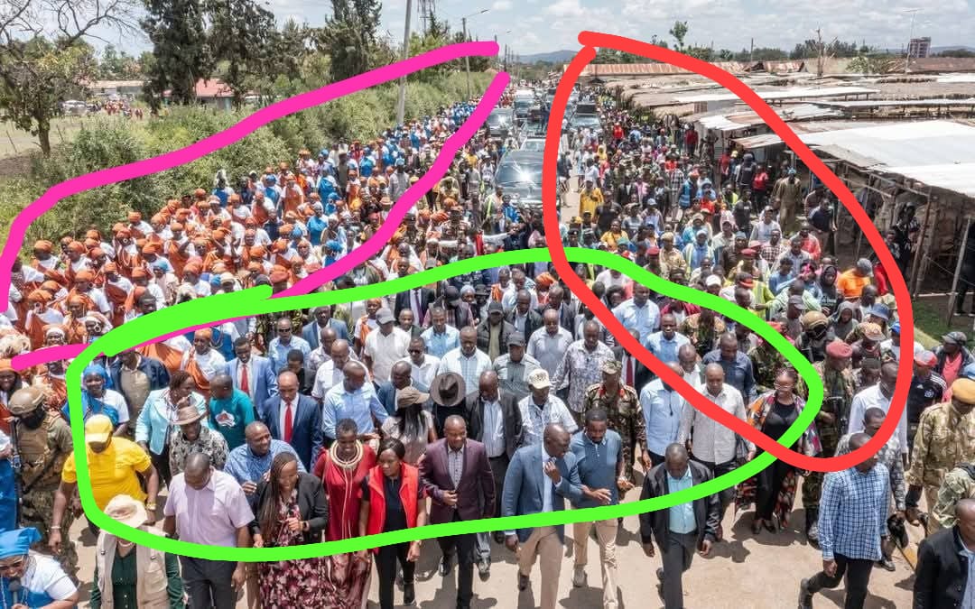 The TRUTH is like diarrhoea, no matter how much you will try to hide it, it will finally come out through any opening available. 
PINK- Hired women in UNIFORM (Blue and Brown).
GREEN - Government Officials + Plain cloth police officers.
RED - Police Officers in uniform.
Kaongo..